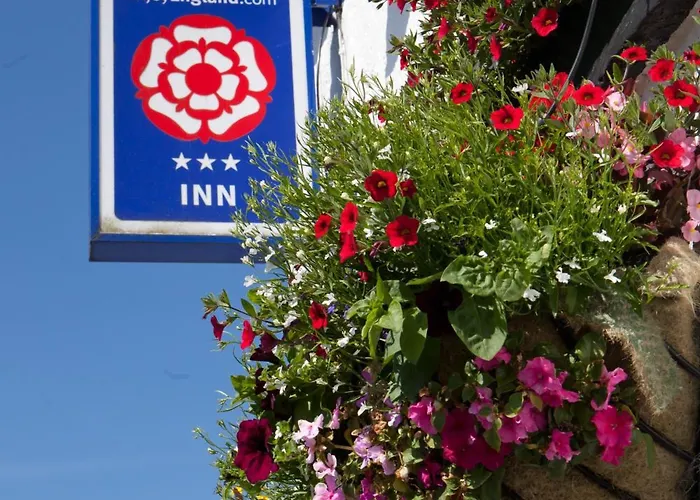 Hotel The Britannia 3*